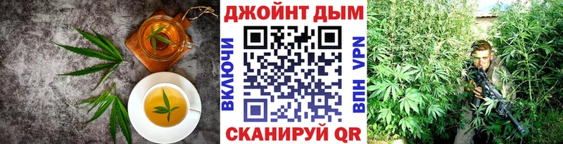 цена   Кунгур  Canna-Cookies конопля 