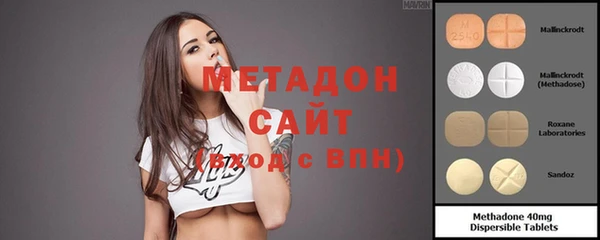 индика Медвежьегорск