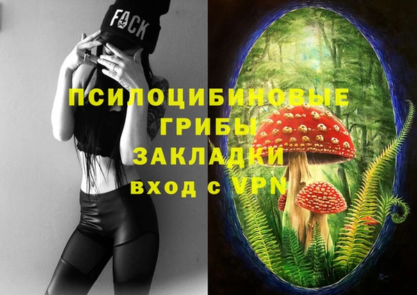 ешки Мегион