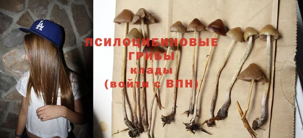 мдма Пересвет