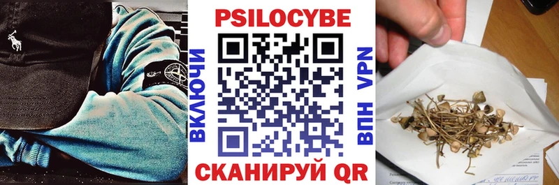 наркошоп  Кунгур  Псилоцибиновые грибы Psilocybe 