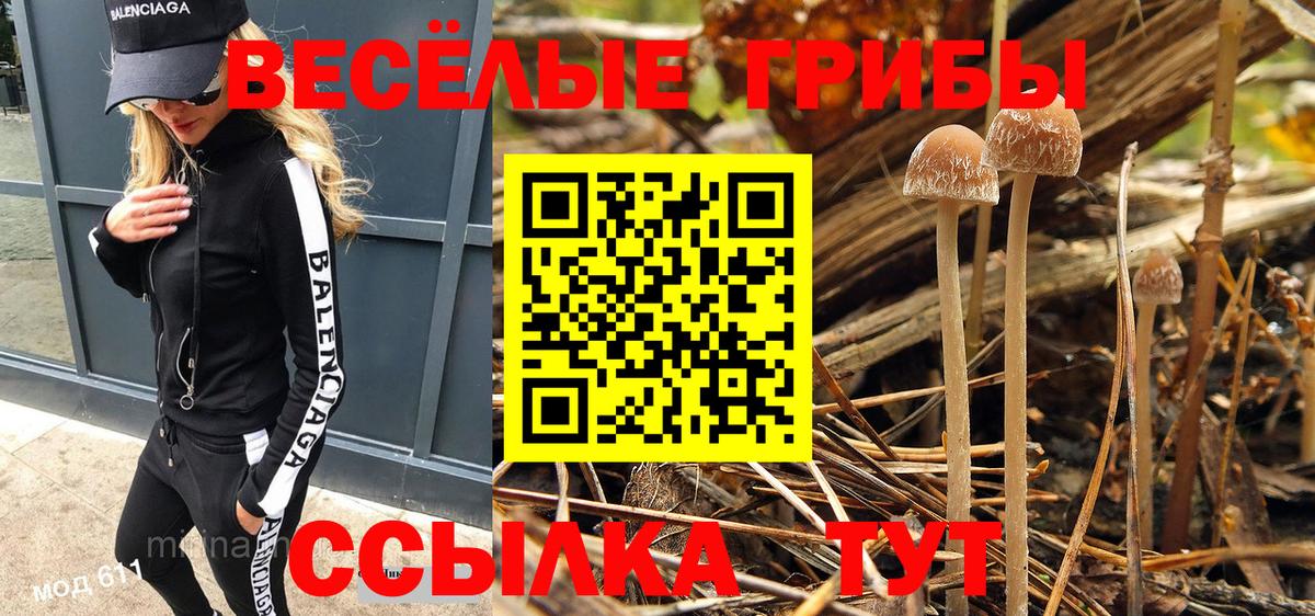 Кунгур  Псилоцибиновые грибы Psilocybe  Вход с VPN 